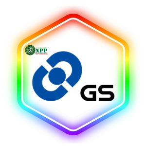 ẮC QUY GS